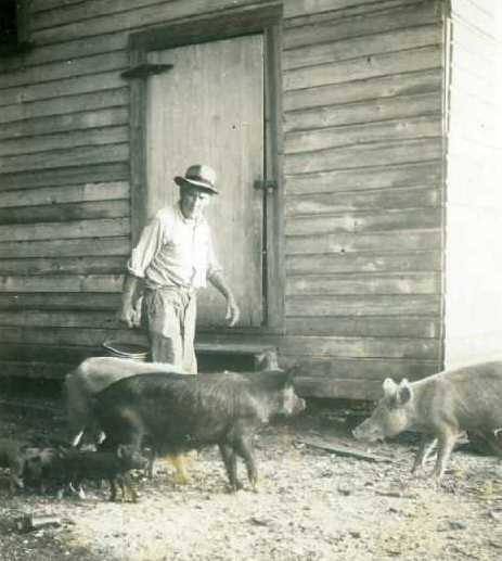 HDTayloratOatlandbarnx.jpg